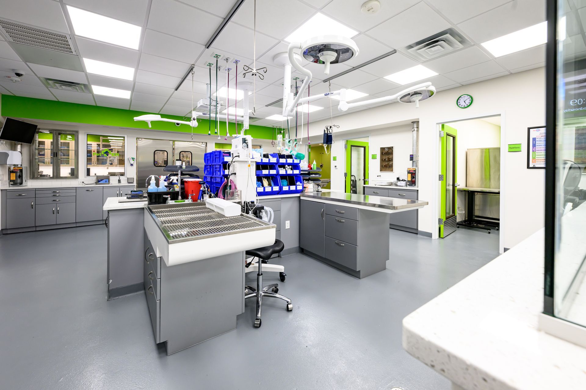 Veterinary operating room with stainless steel tables and gray cabinets; lime green accents.