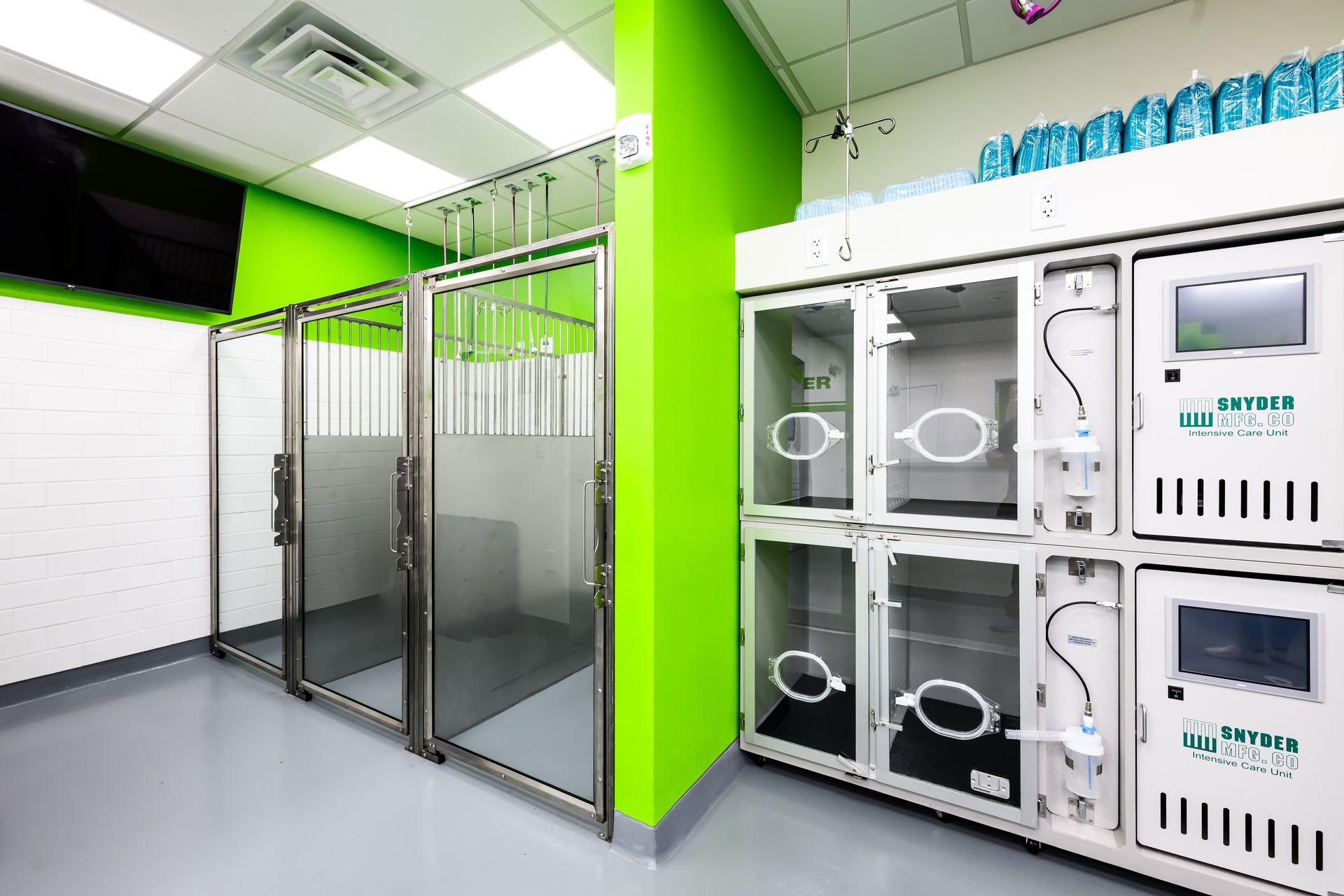 Kennel area with clear glass doors, green accents, and medical equipment; brightly lit.