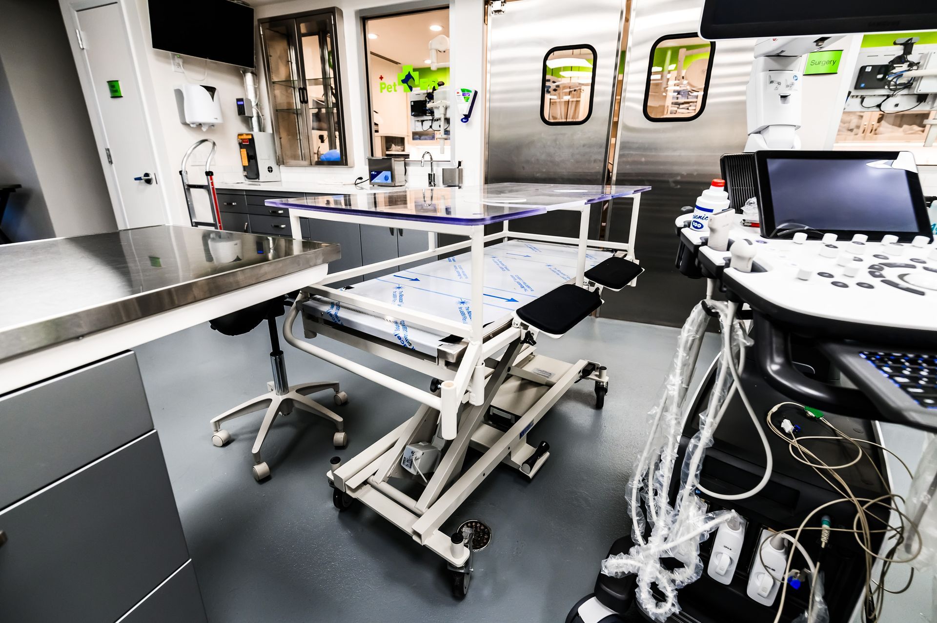 Veterinary examination room: stainless steel, medical equipment, and adjustable exam table.