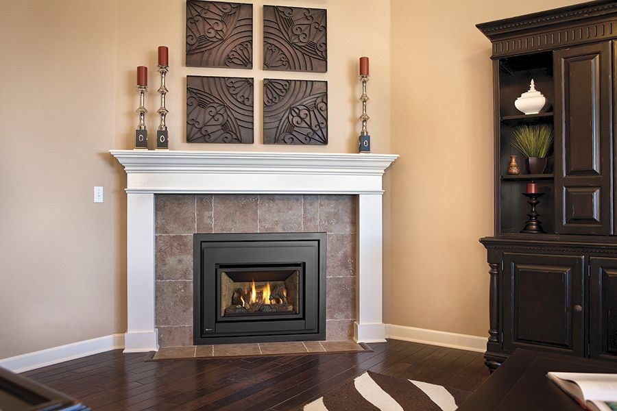 Sleek gas fireplace insert installed by Capital City Stove & Grill Center in DuPont