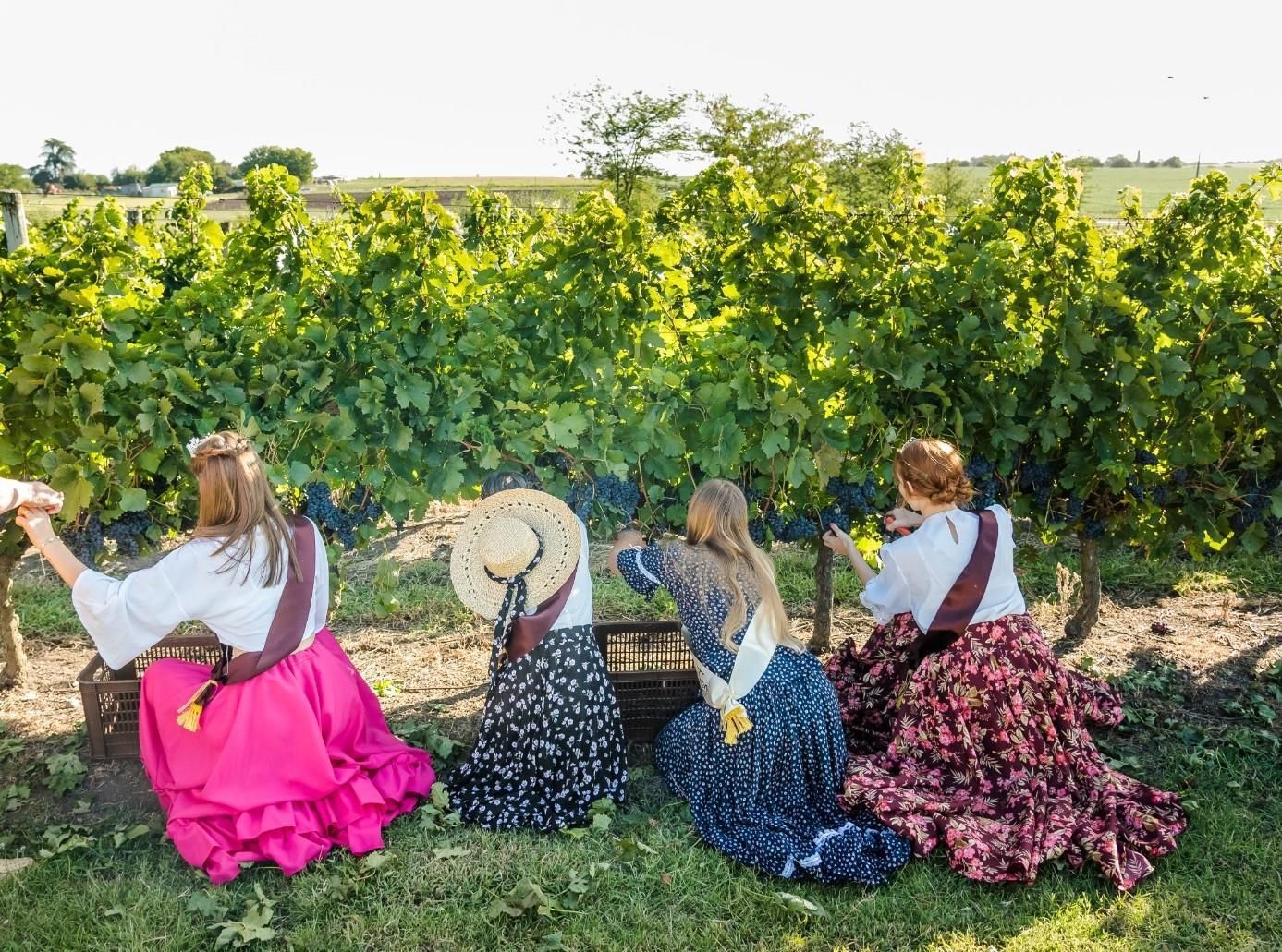 Una piscina dentro de un edificio con puertas corredizas de vidrio.
