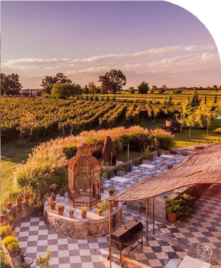 Un gimnasio con una fila de bicicletas estáticas y una cinta de correr.