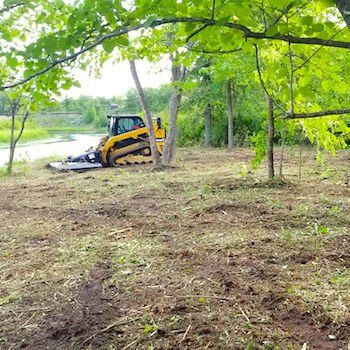 Stang Tree Service - Land Clearing Experts