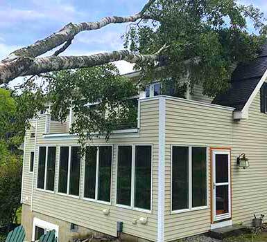 Stang Tree Service - Storm Cleanup Experts