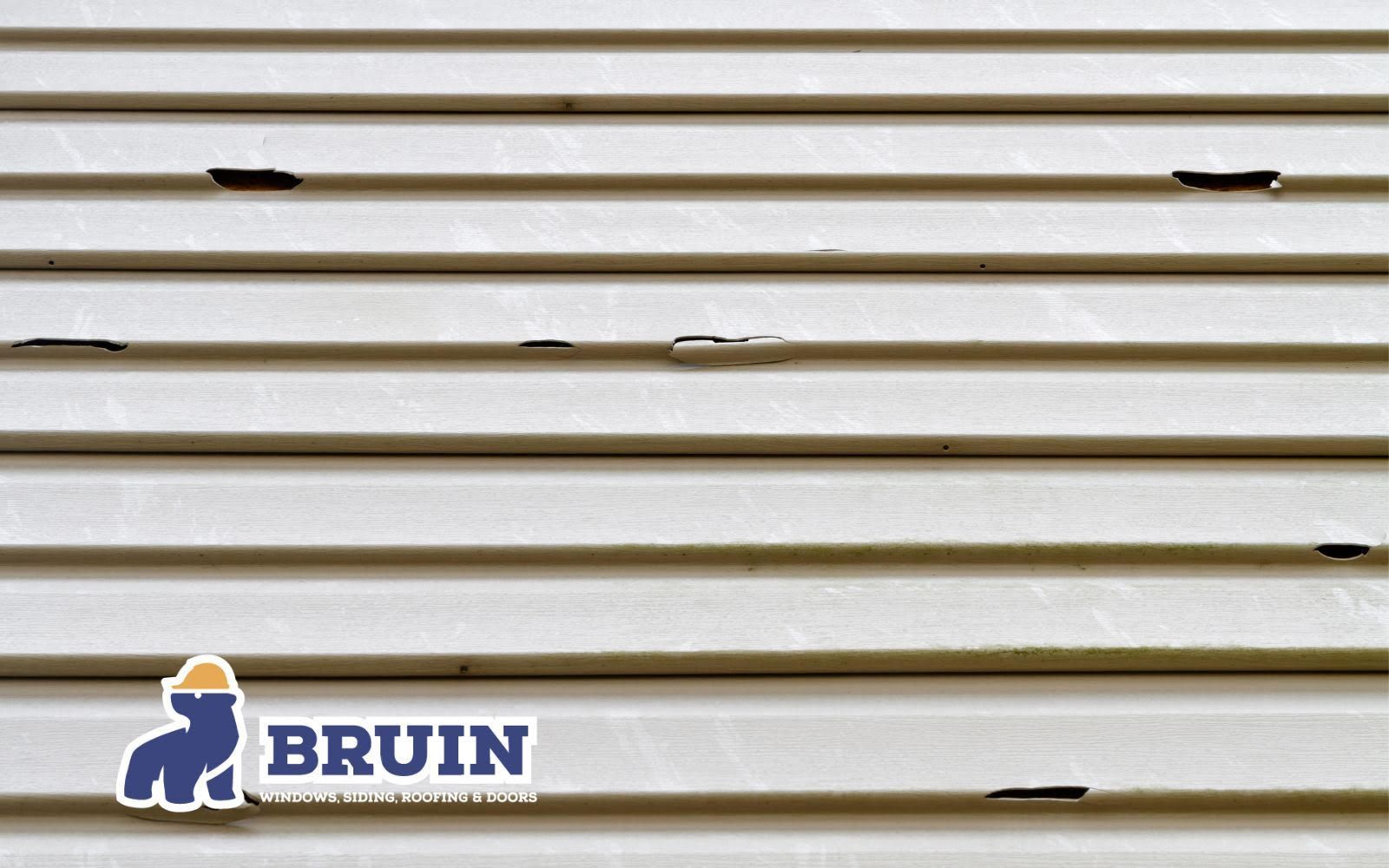 Light beige vinyl siding with small, dark damaged areas.
