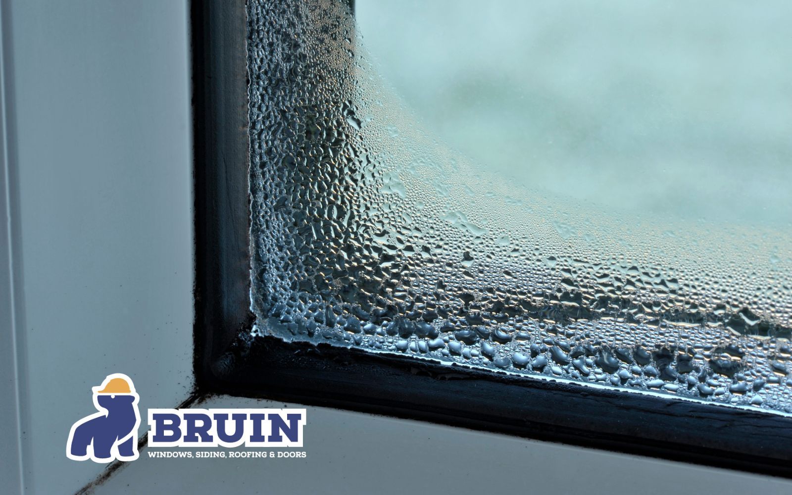 6 Signs It’s Time to Replace Your Windows (Even If They Still Look Fine)