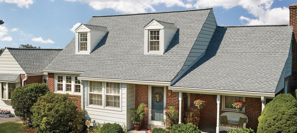 Bruin-GAF-Ultra-HD-2