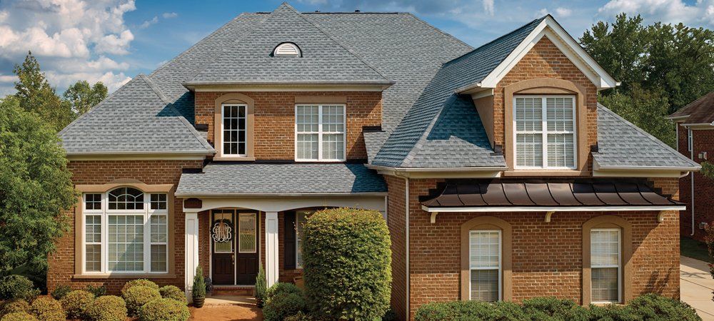 Bruin-GAF-Ultra-HD-3