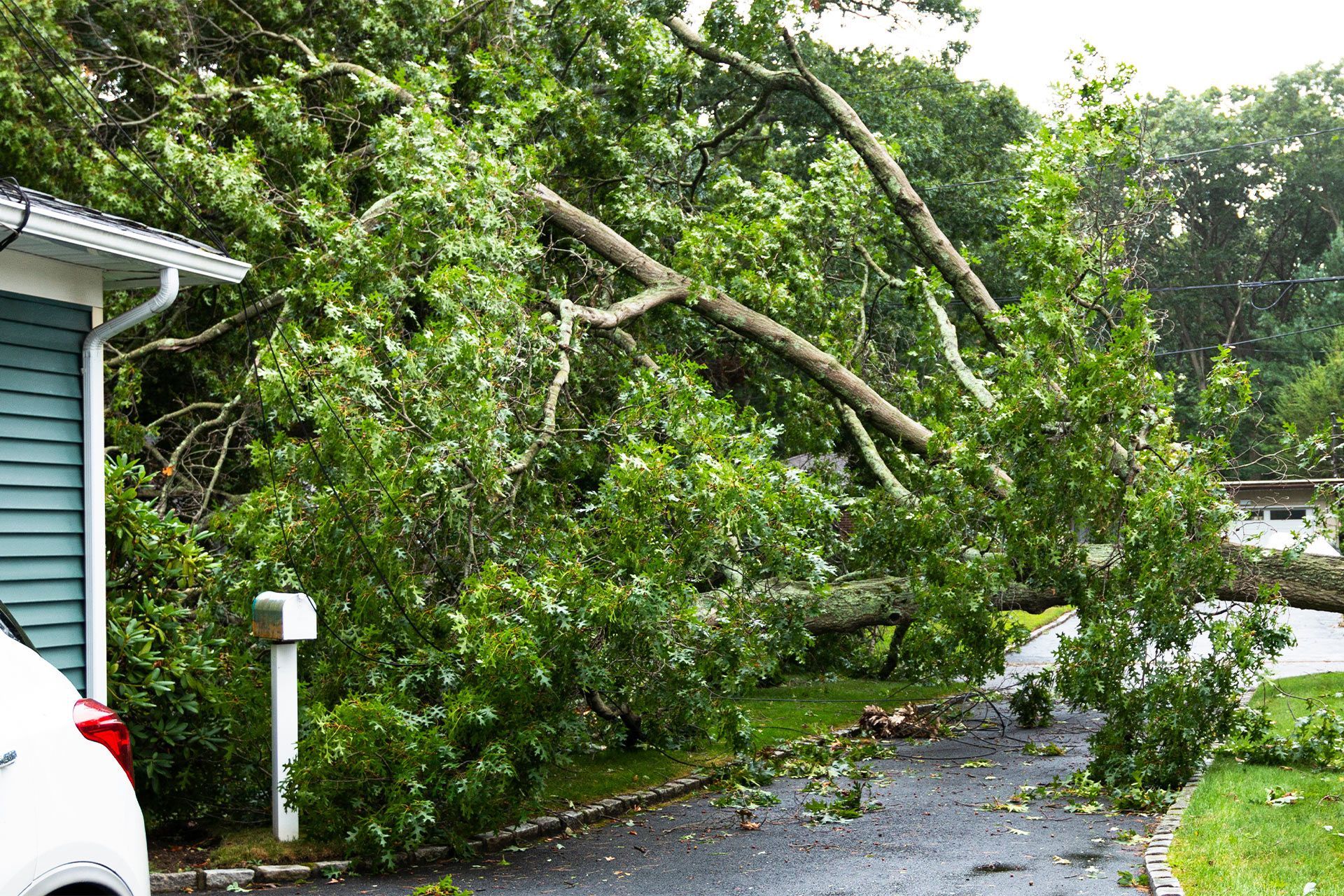 Bruin Remodeling Group | Storm Damage Image