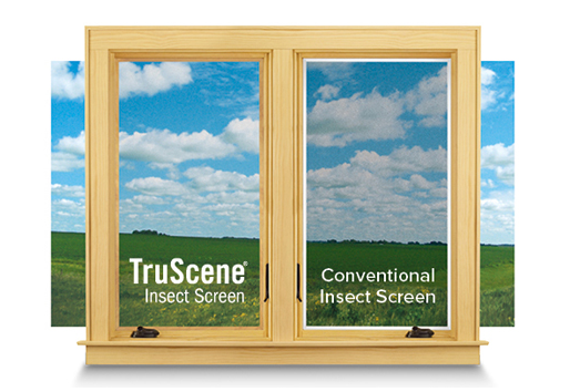 Bruin_Window_and_Door_Screens