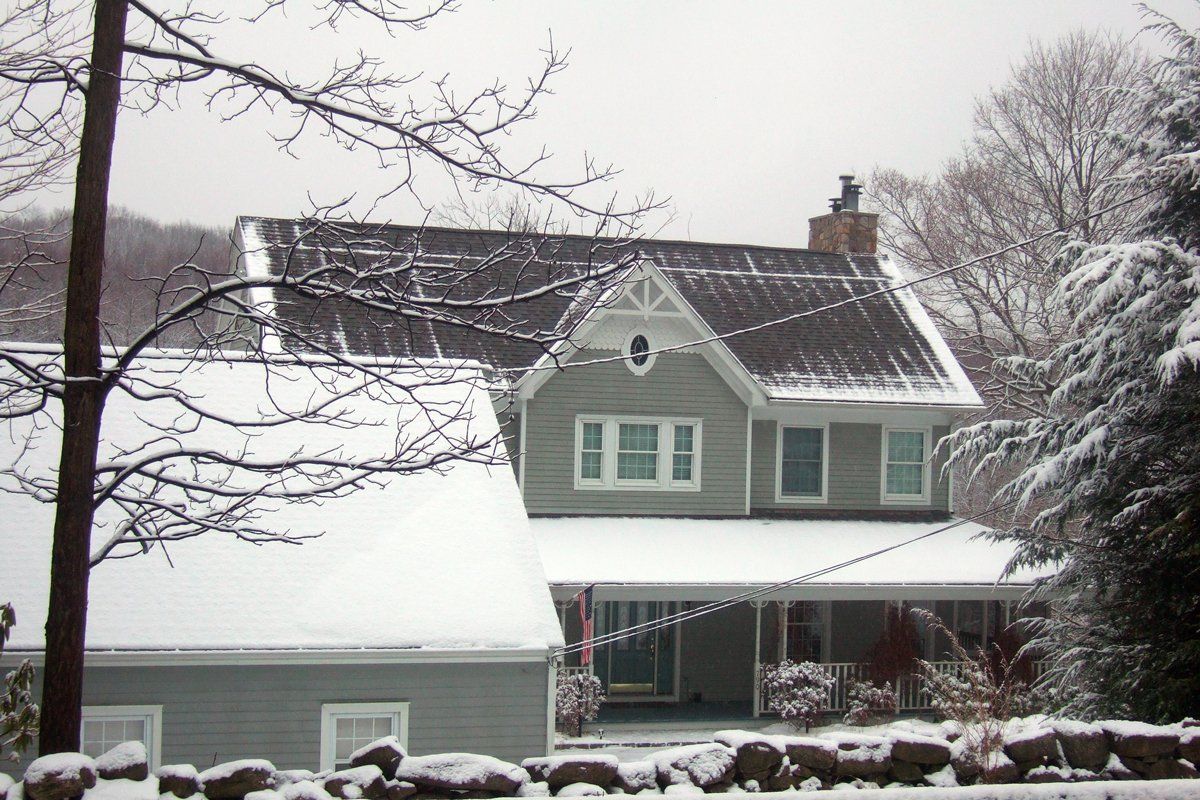 Rodents in the Attic