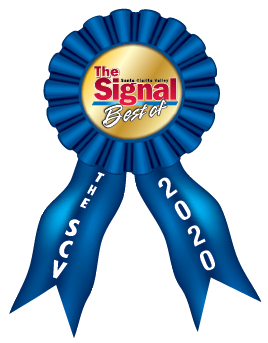 The SCV - Best of 2020 Ribbon