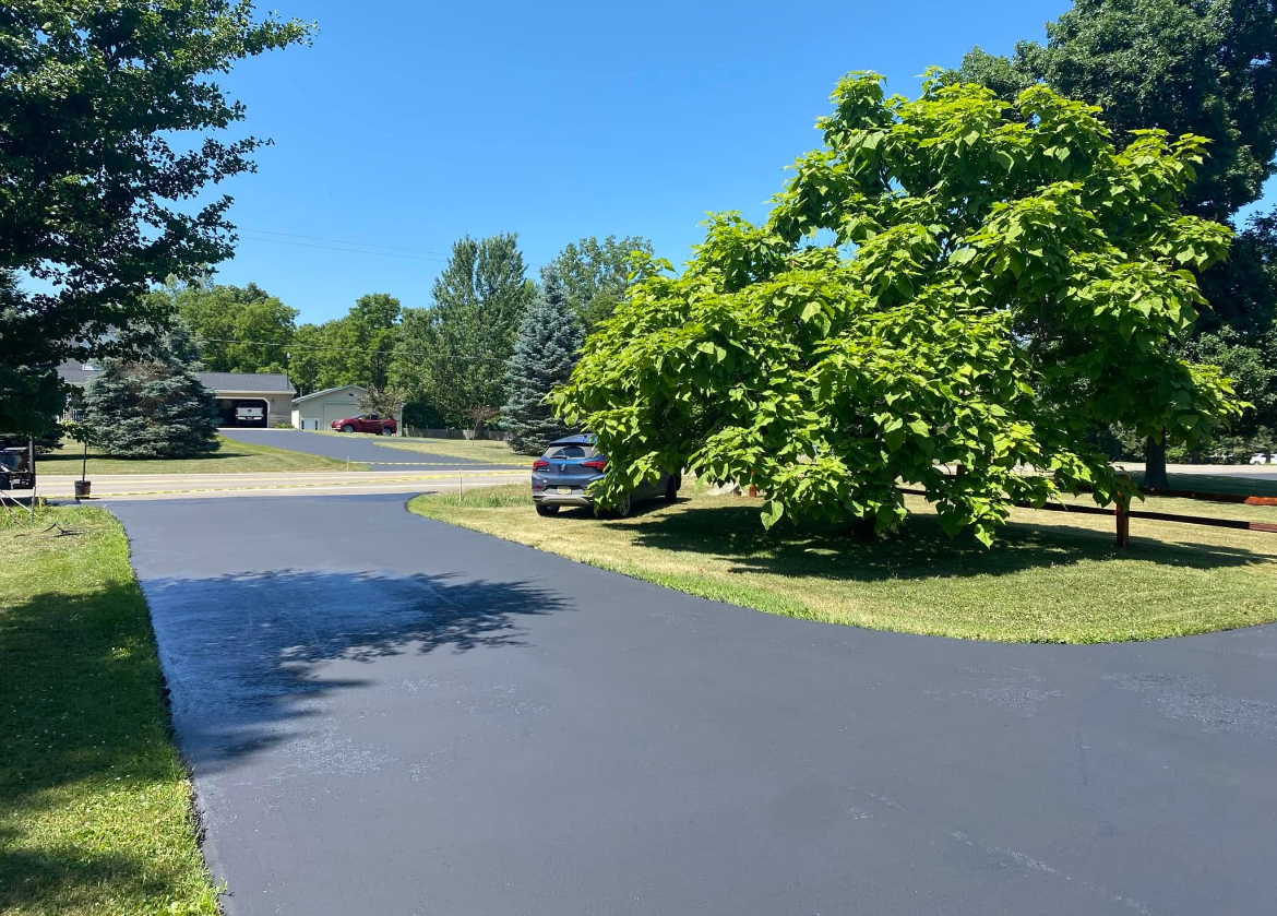 Suburban driveway and street with a large green tree casting shade on a sunny day