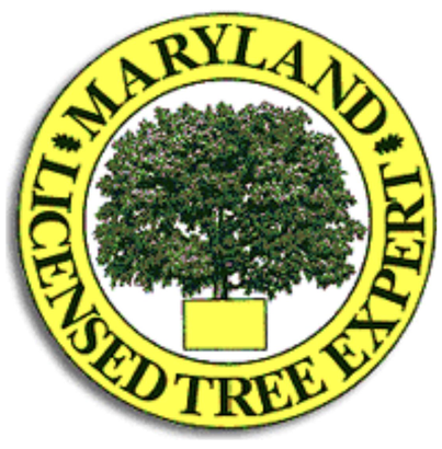 Tree Care - J & B Tree Service in Montgomery County, MD