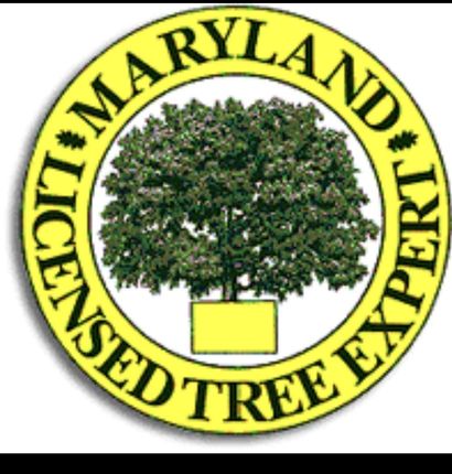 Tree Care - J & B Tree Service in Montgomery County, MD