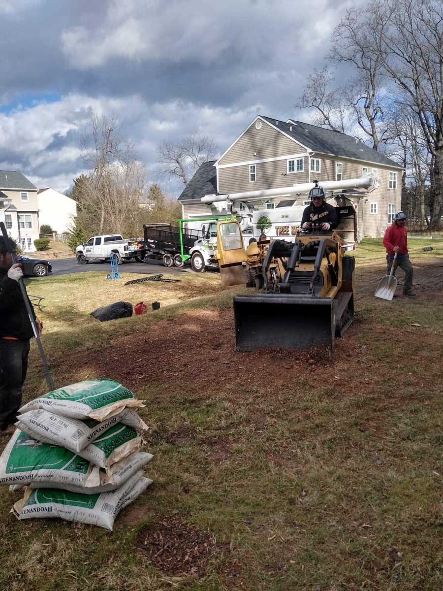 Stump Removal -  J & B Tree Service in Montgomery County, MD