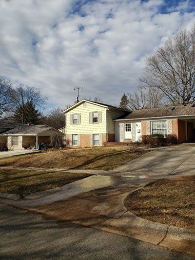 tree services near me