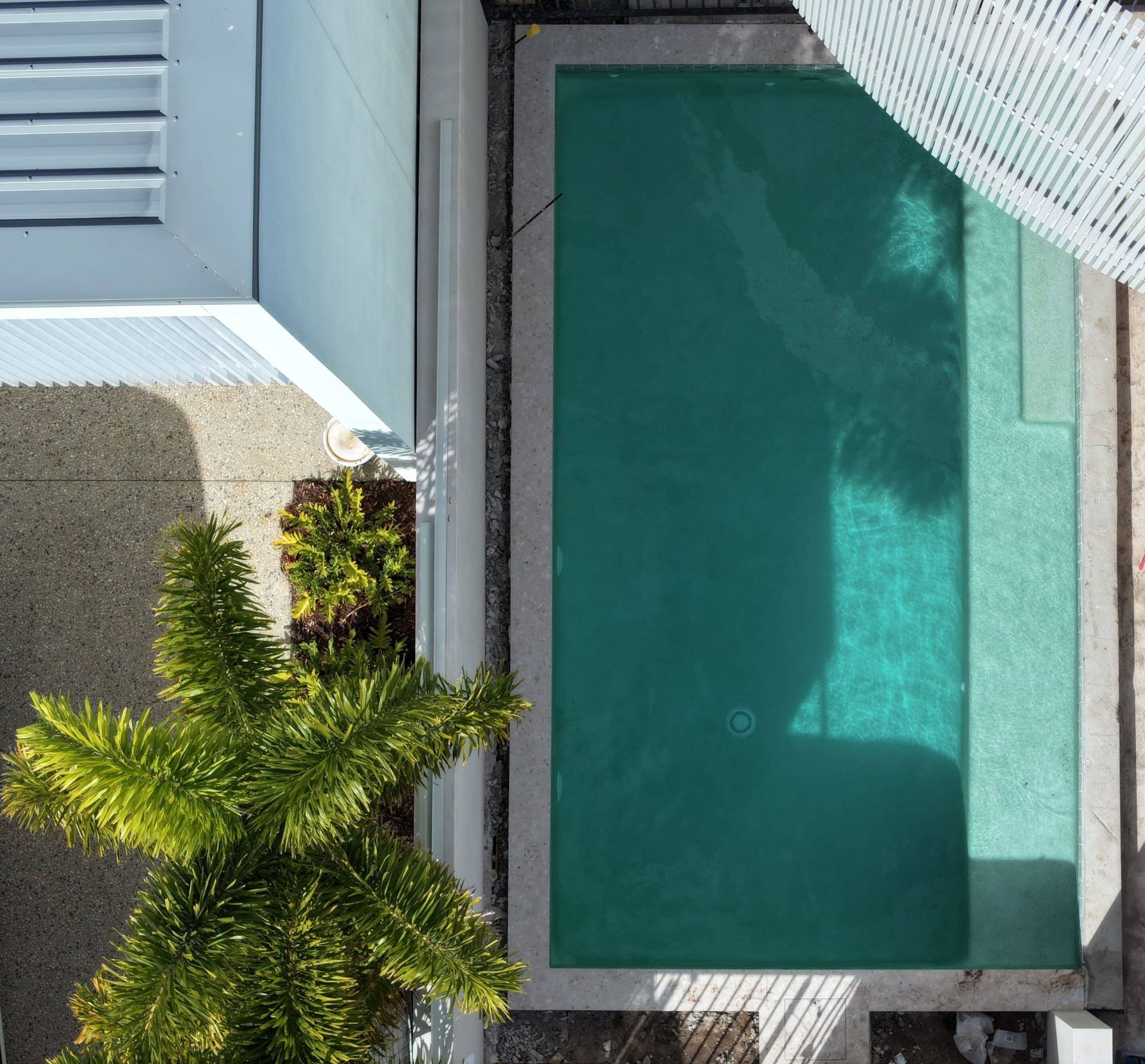 An Aerial View of a Swimming Pool Surrounded by Palm Trees — Pools By Design in Warana, QLD