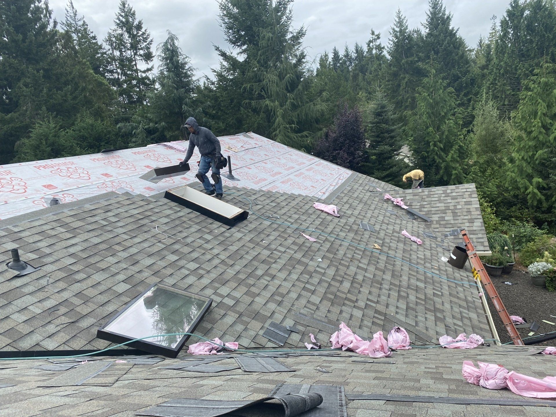 Shingles Installation — Centralia, WA — Washington Infinity Roofing