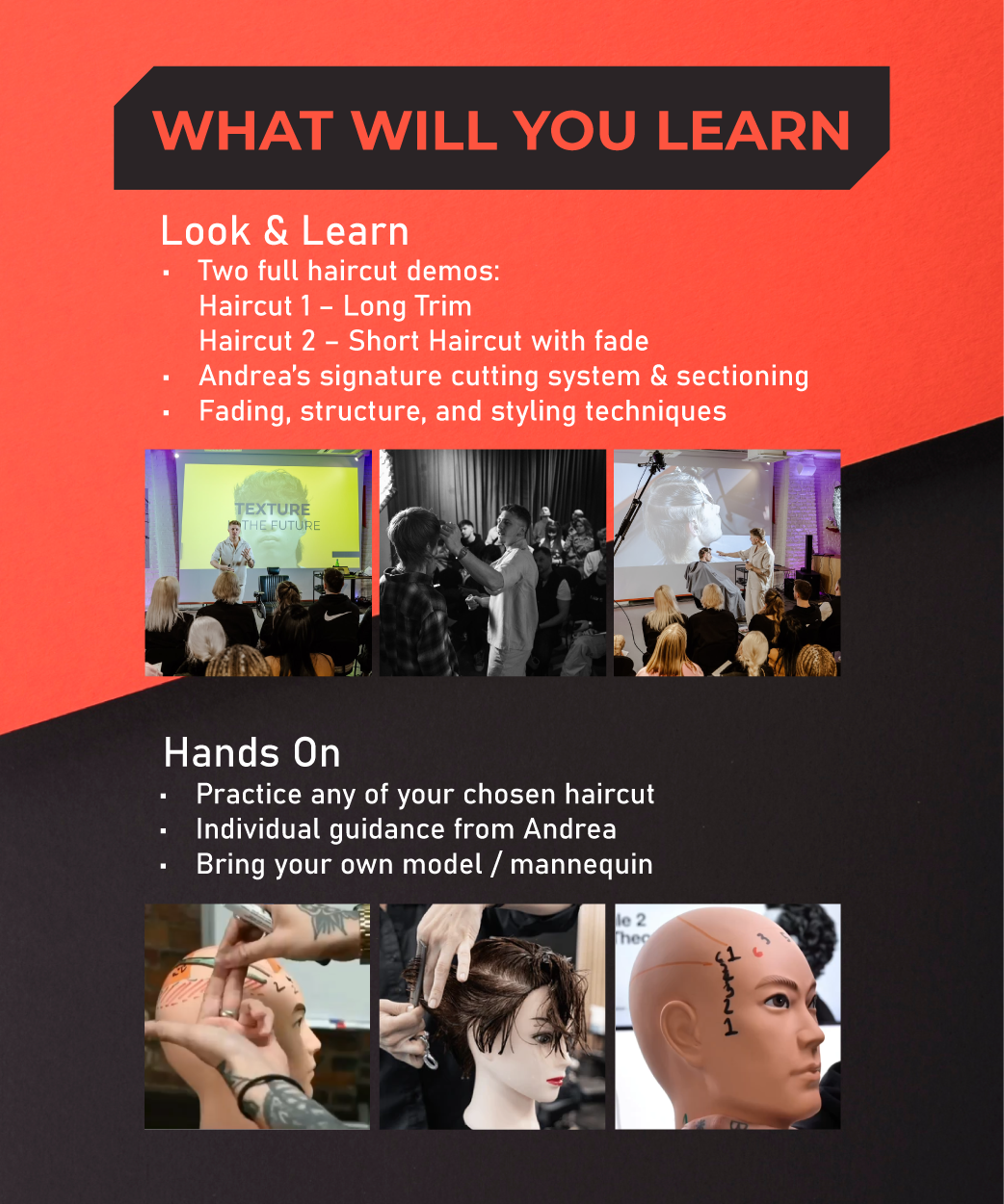 A poster that says what will you learn on it