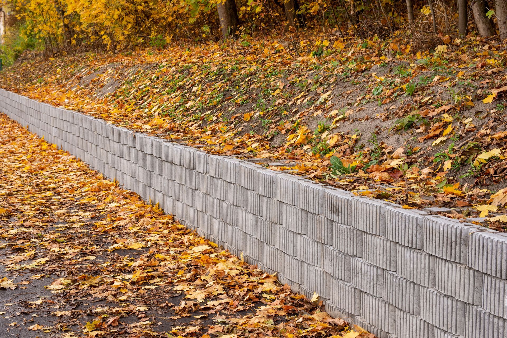 Low retaining wall alongside a path, covered in fallen autumn leaves. Low retaining wall alongside a path, covered in fallen autumn leaves.