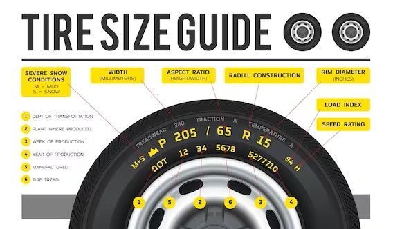 Tire size guide infographic showing tire sidewall markings, labels, and measurement terms