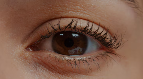 Transplante parcial de córnea em Nova Friburgo