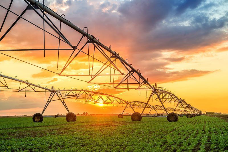 Large Irrigation System on Field with Sunset — Northern Rivers Coaching And Counselling In Rowlands Creek Road, Uki, NSW