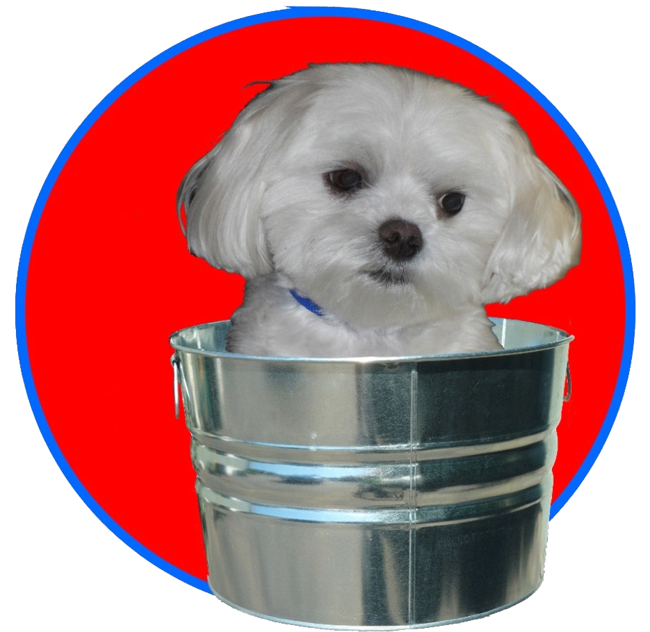DesiLu's Pet Boutique logo
