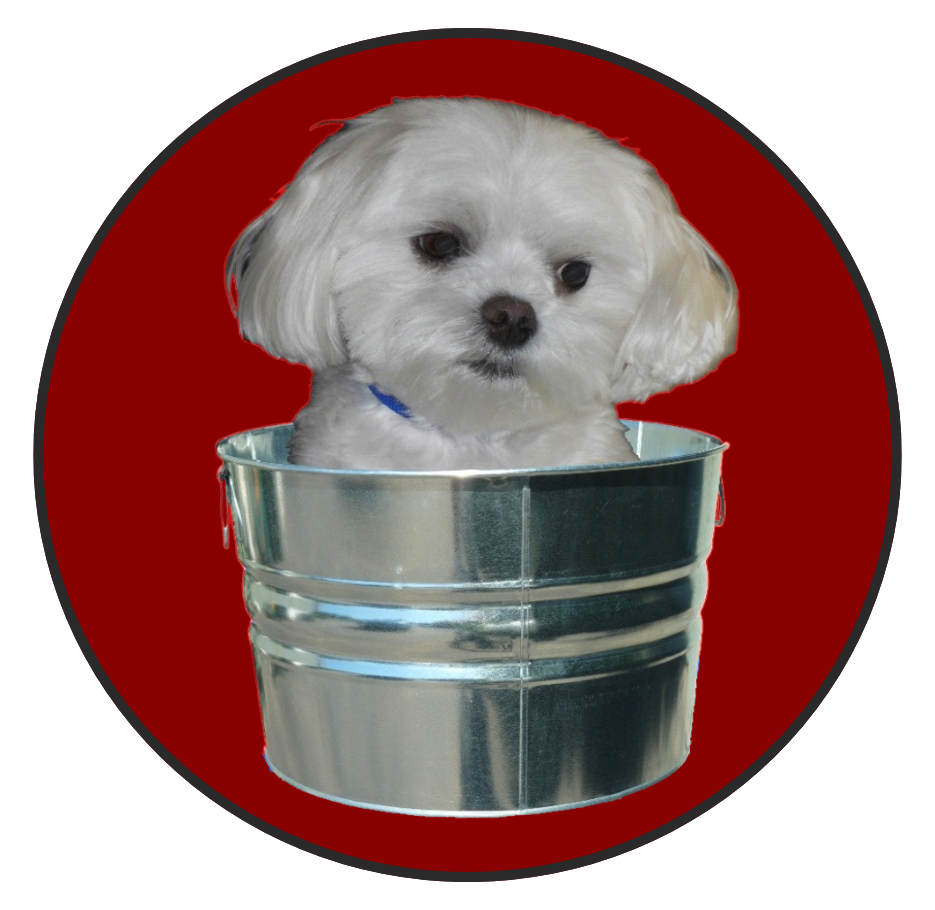DesiLu's Pet Boutique logo