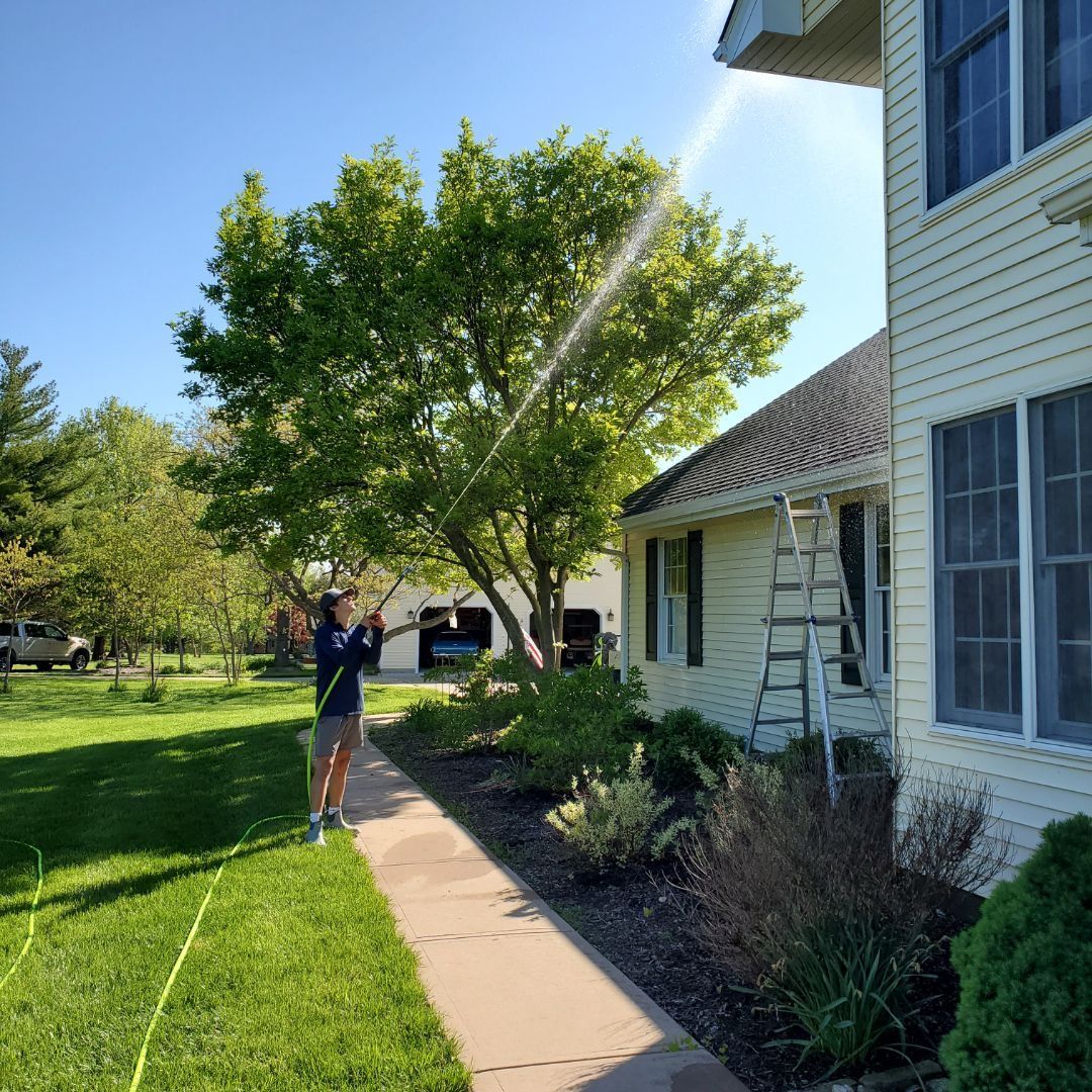 Person spraying water at a house; sunny day. Green lawn, tree, and bushes. A ladder is leaning against the house.