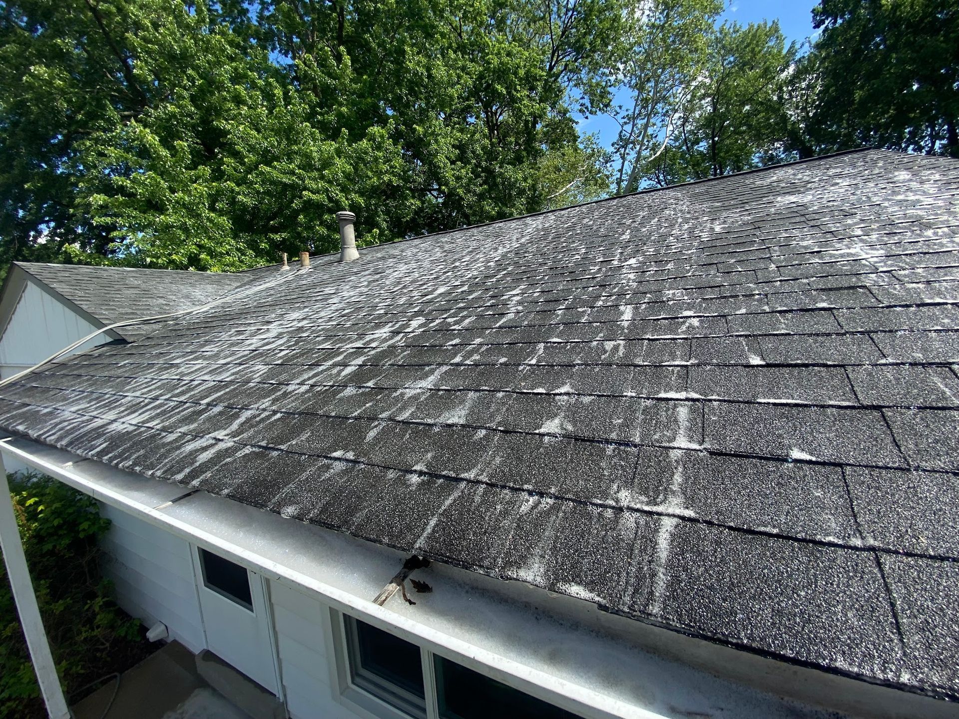 Gray asphalt shingle roof with extensive white streaking, likely from algae or mold, on a white house.