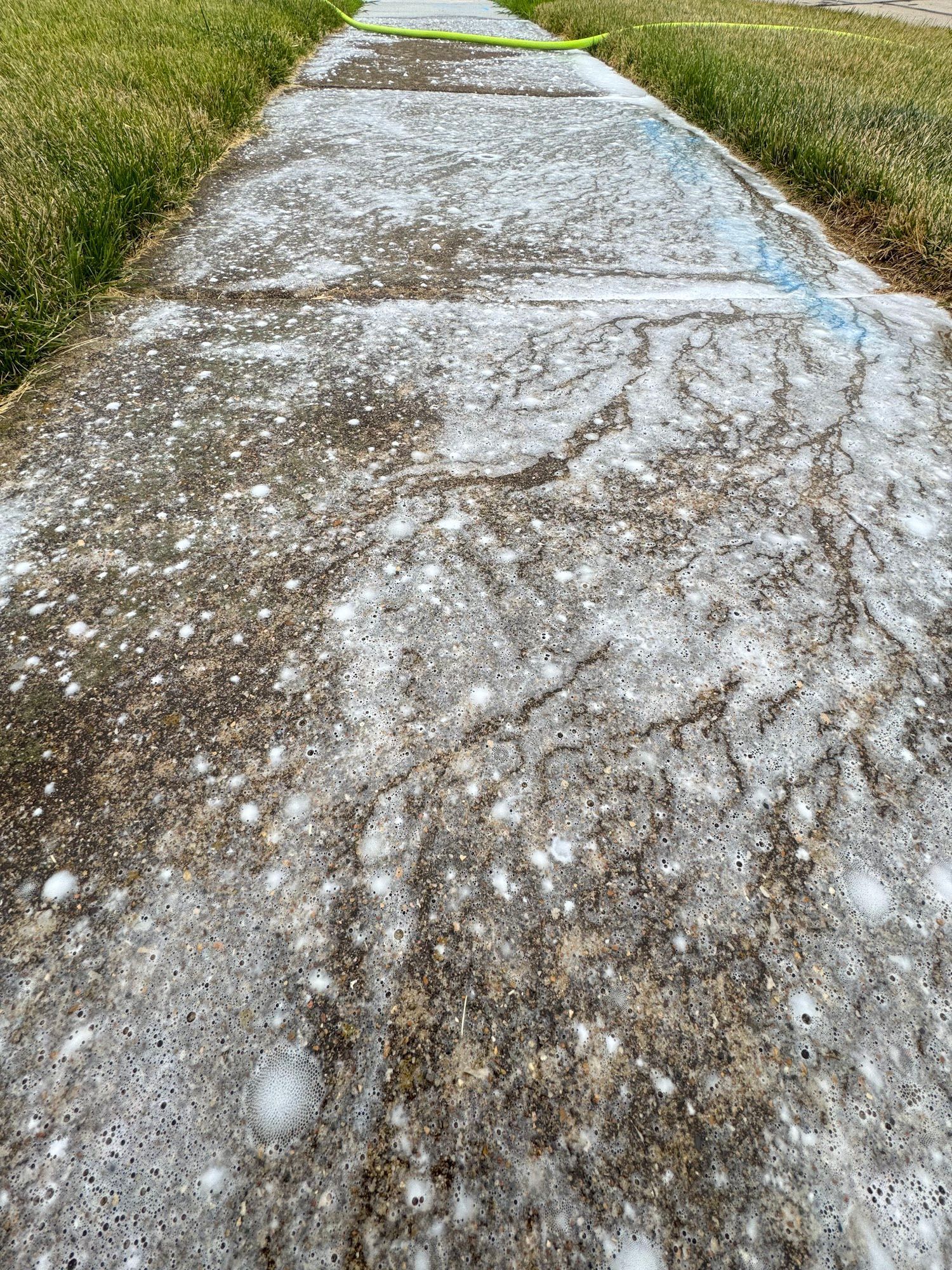 Sidewalk with foamy cleaning solution applied, grass on both sides.