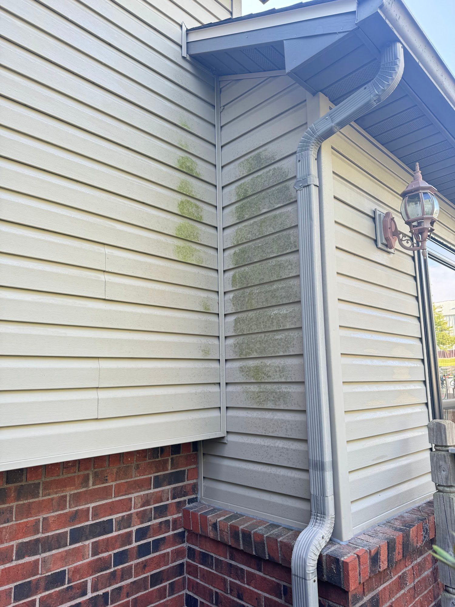 Exterior of a house with light-colored siding, showing green algae growth near a downspout.