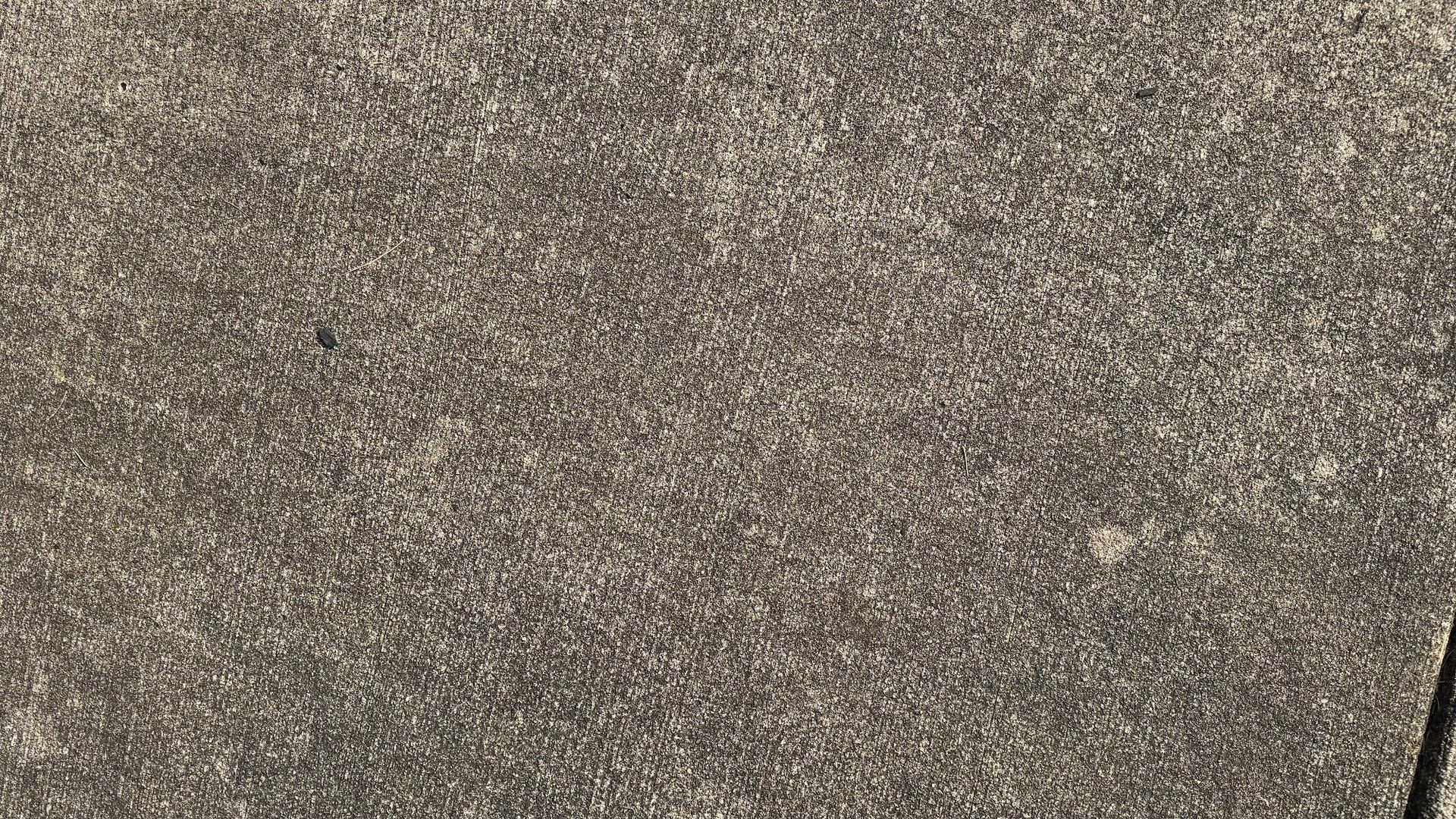 Close-up of a gray, textured surface, possibly concrete or stone.