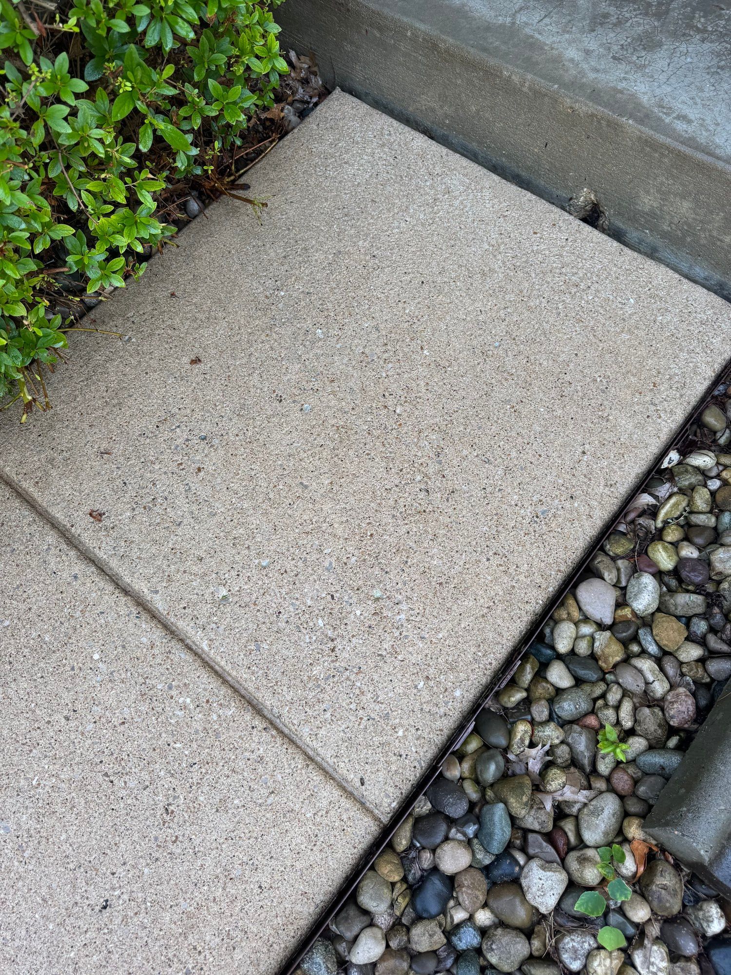 Concrete pathway next to landscaping with small rocks and a bush.