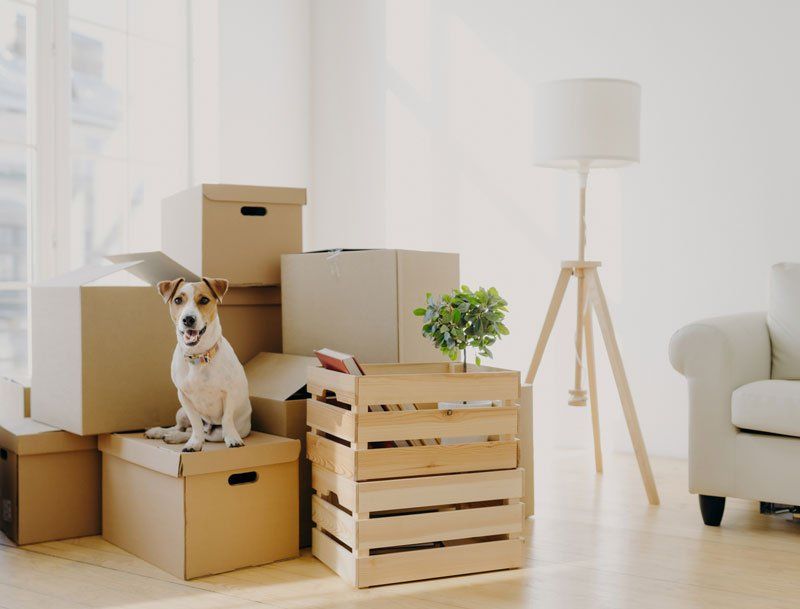 Moving Services — Australia — Australian Moving Logistics Moving Services — Australia — Australian Moving Logistics