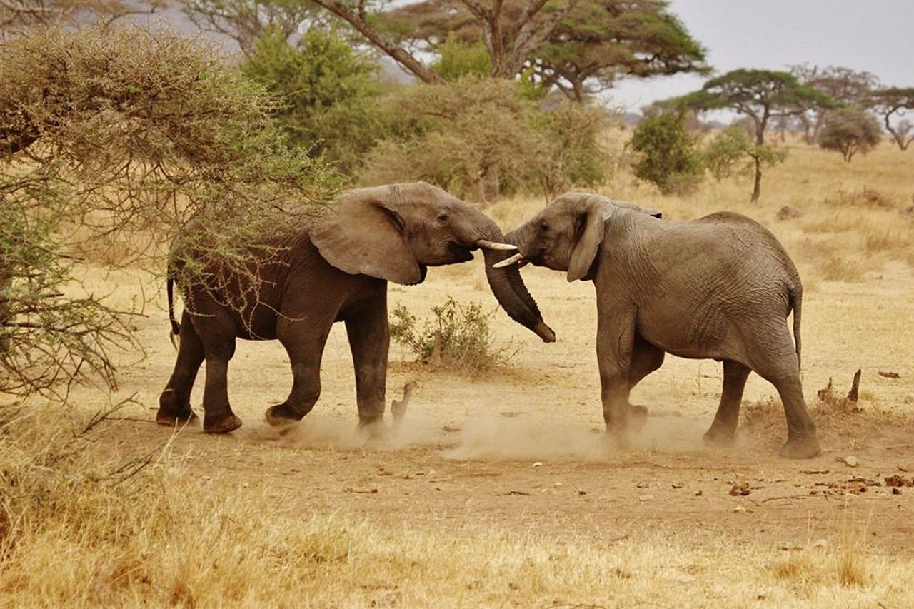 Serengeti National Park