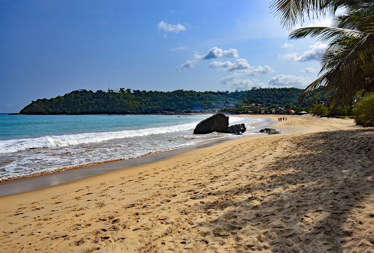 Sandy beach with waves, blue water, and green foliage under a sunny sky.