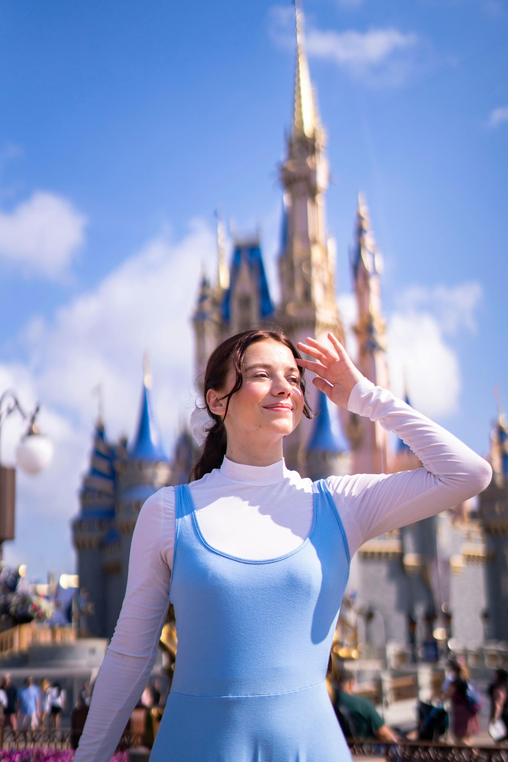 Walt Disney World Resort