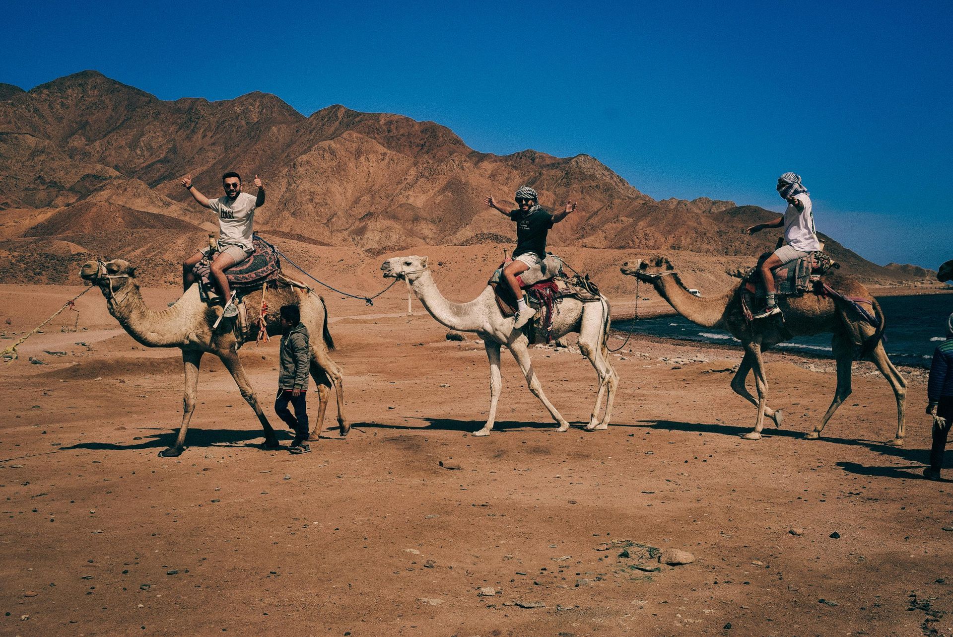 Red Sea Coast (e.g., Hurghada, Sharm El Sheikh)