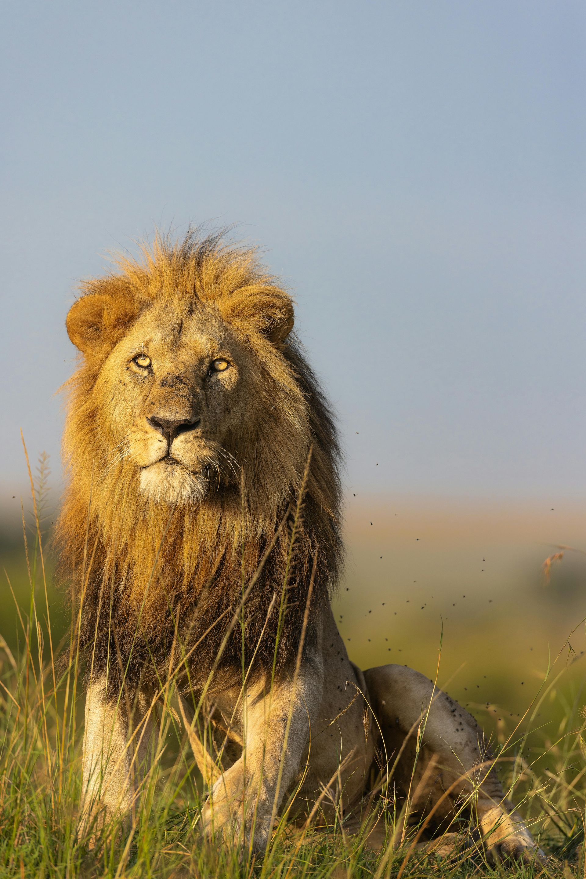 Maasai Mara National Reserve