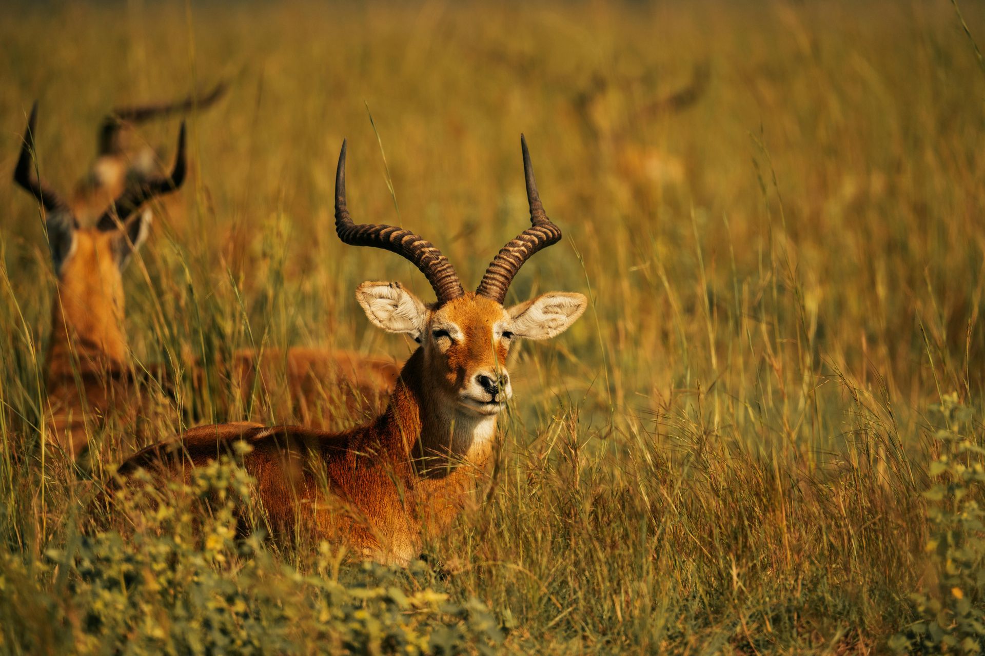 Kruger National Park