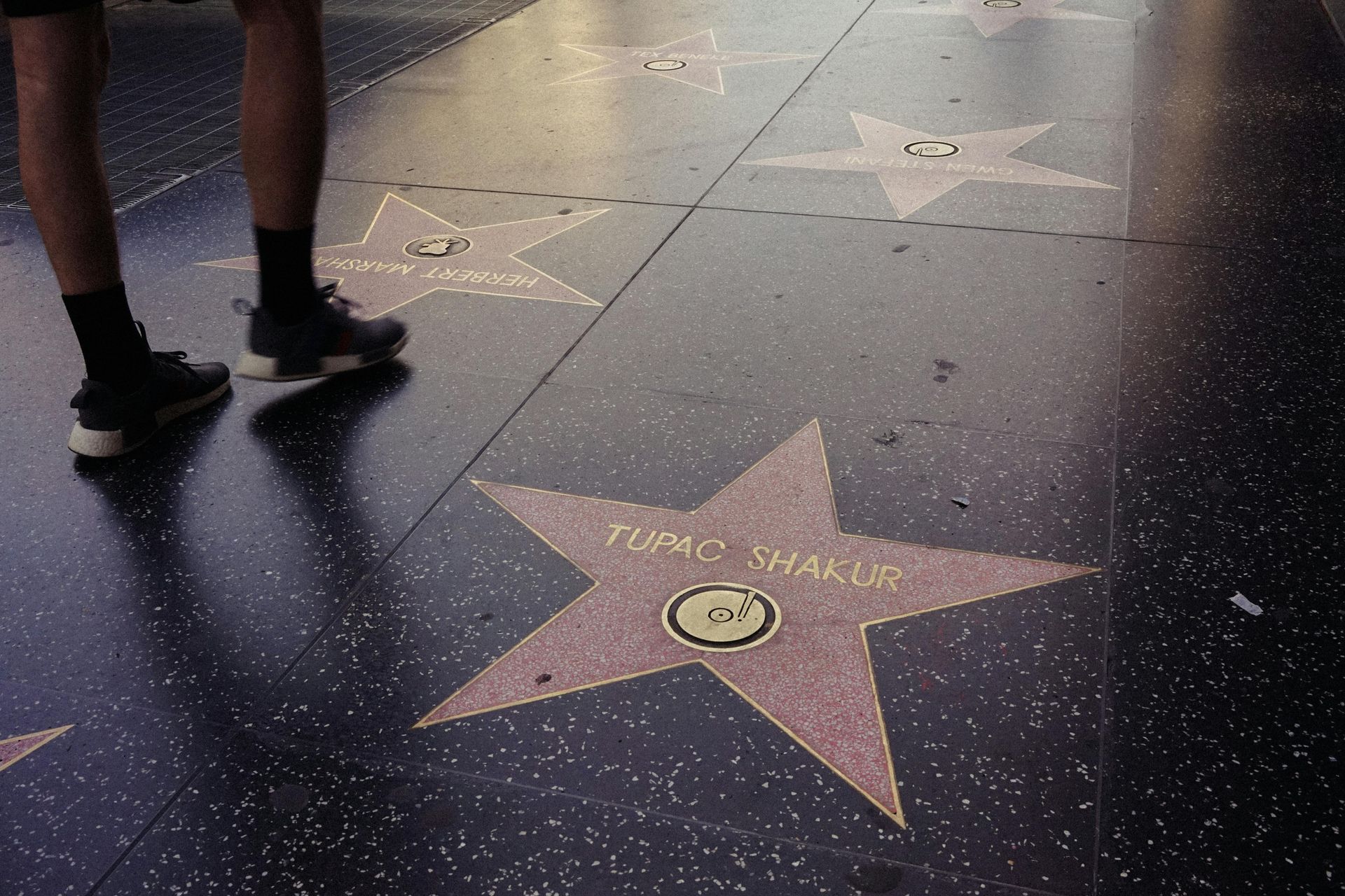 Hollywood Walk of Fame & TCL Chinese Theatre