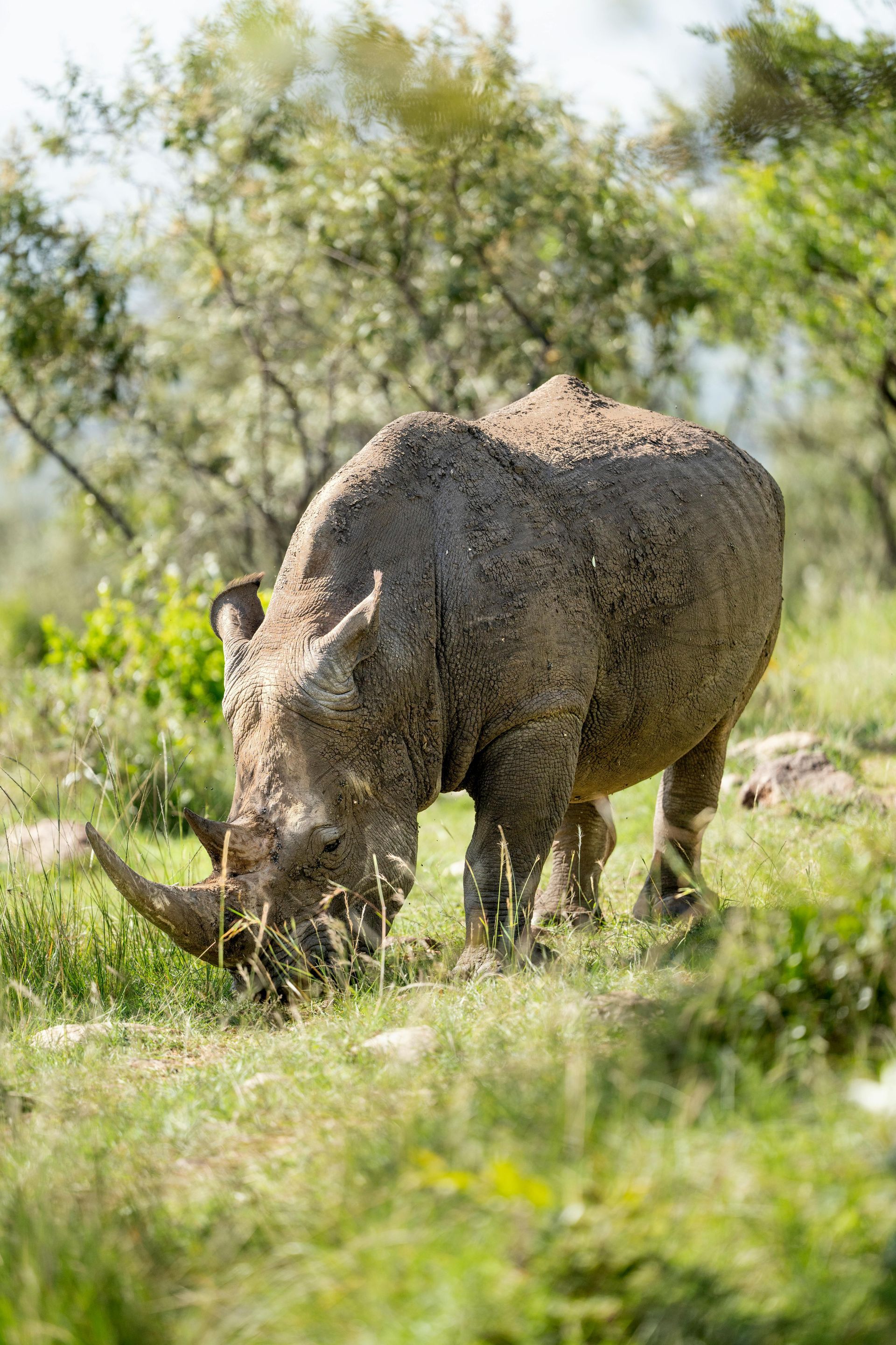 Amboseli National Park