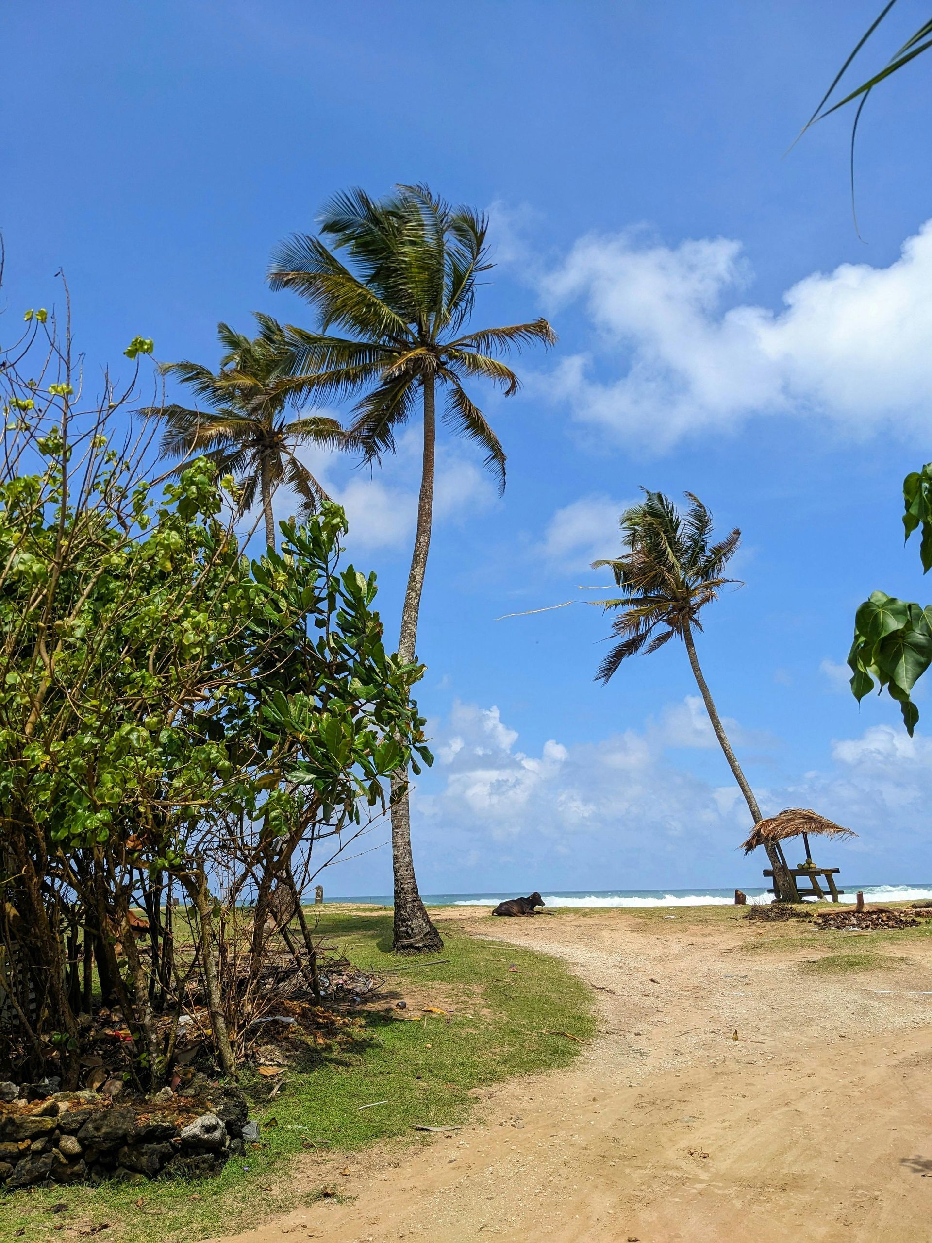 Quirimbas Archipelago (inc. Ibo Island)