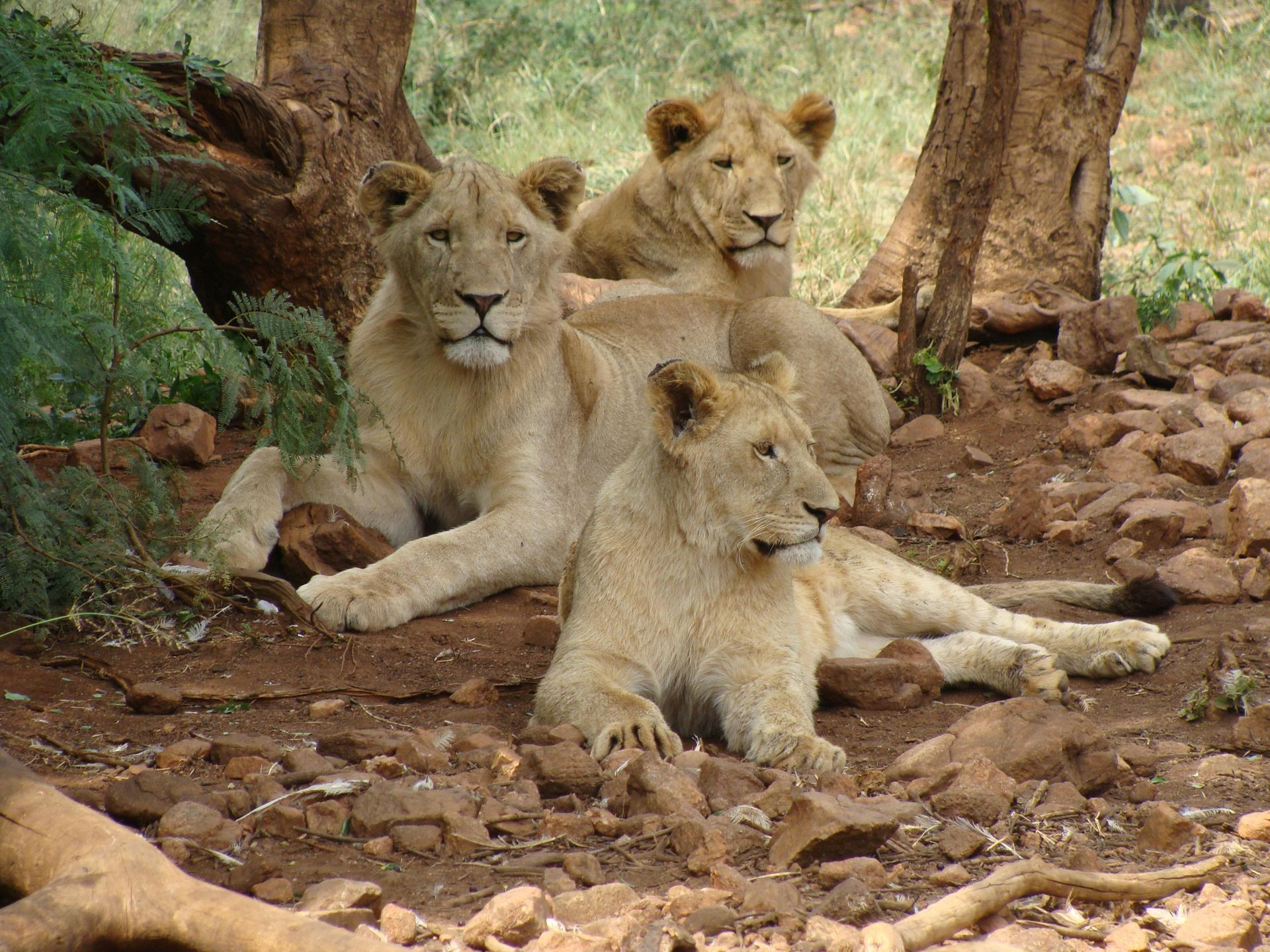 Queen Elizabeth National Park