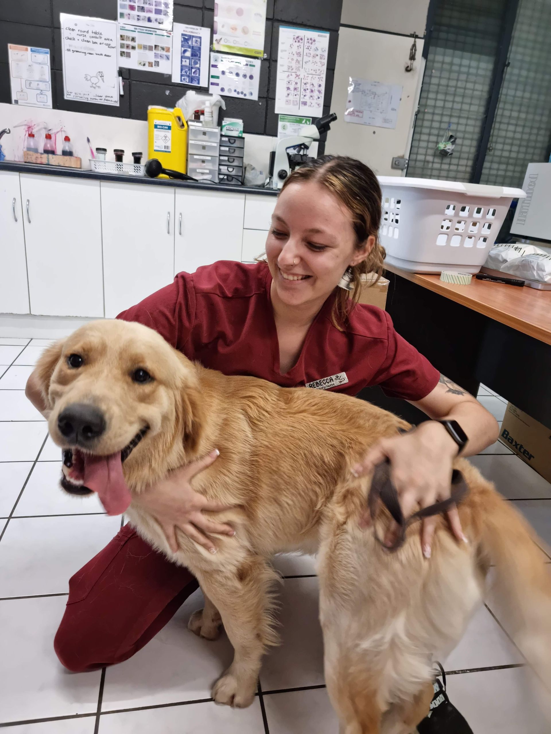 Vet with a Golder Retriever