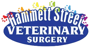 Hammett Street Veterinary Surgery