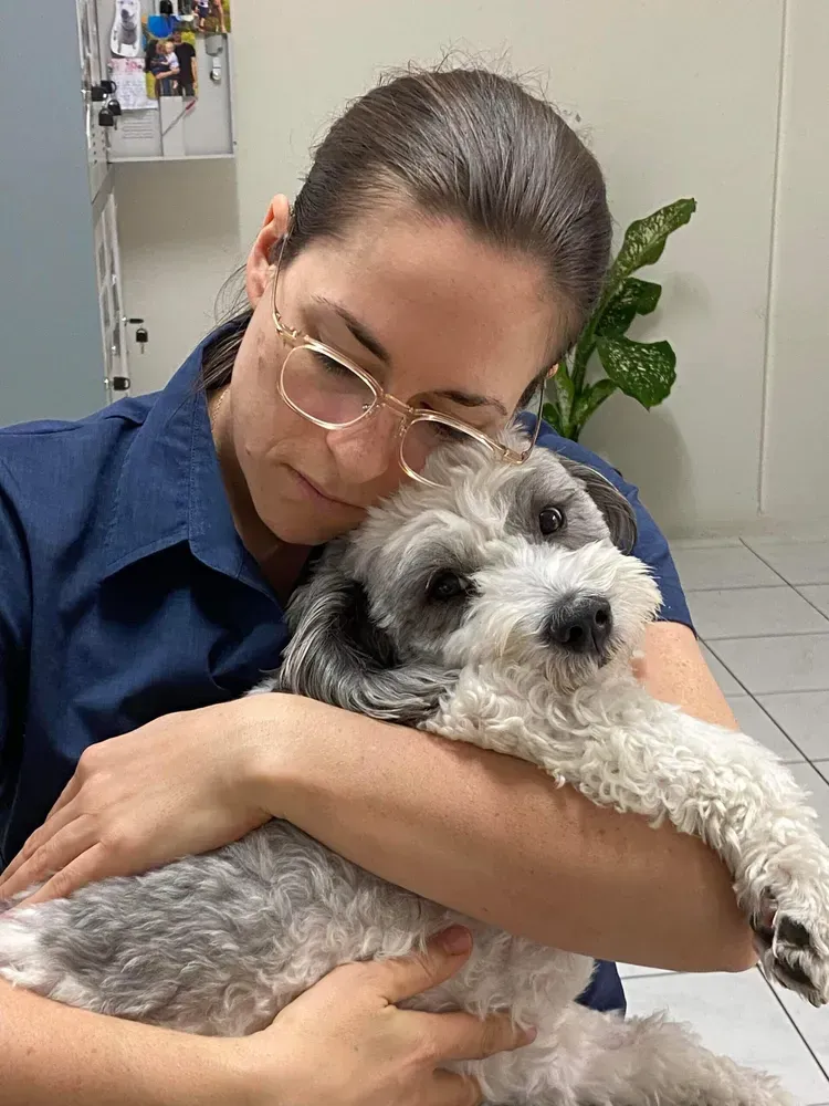 Brown dog with big eyes sits on a tiled floor, wearing a red collar, in a room.